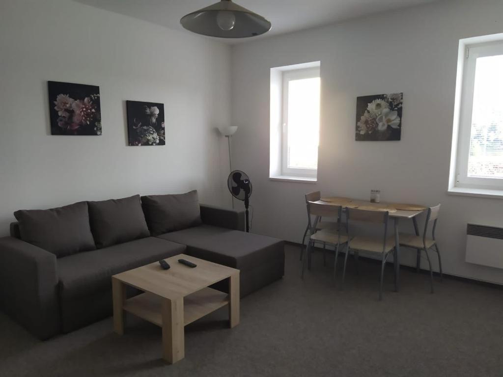 Apartmán 10 Županovice Kültér fotó